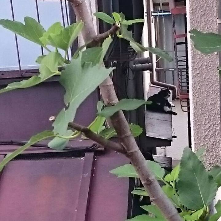 4f5a06ce 26e3 4bd5 a8e8 e46e50fc76ab