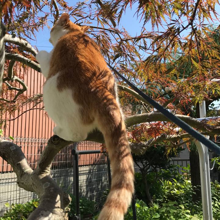 4f5ab8de 3d44 4ed4 98a5 3e48d6cc934b