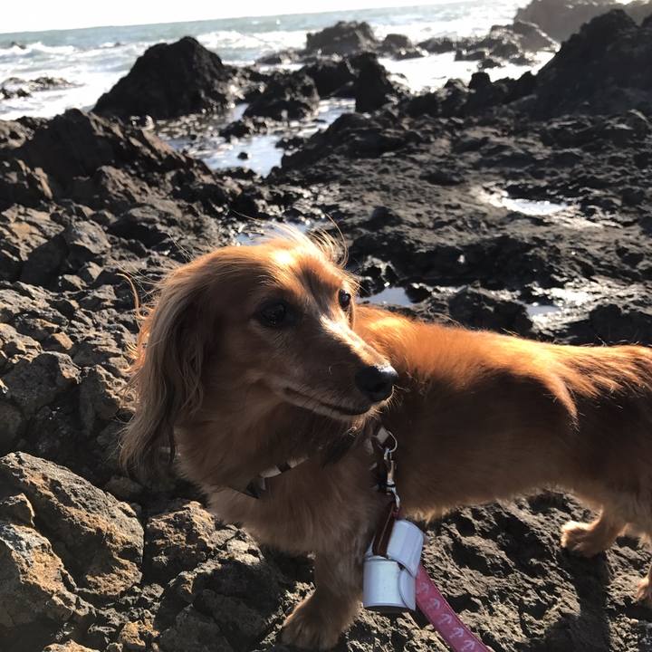 4f5adf2e 9f43 4909 81ad 1f0f0f0e42b5