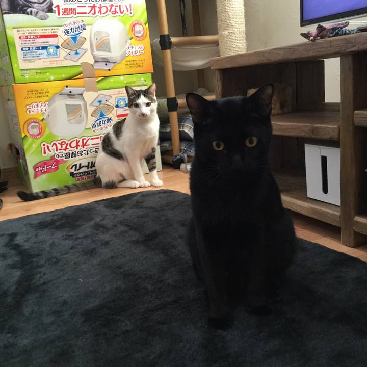 4f5b9658 0064 4c1b 9c12 985feb40cee1