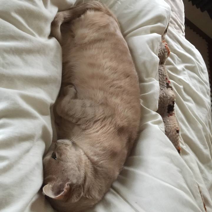 4f5bbb3c f448 4672 b3aa 921ac0181eb2