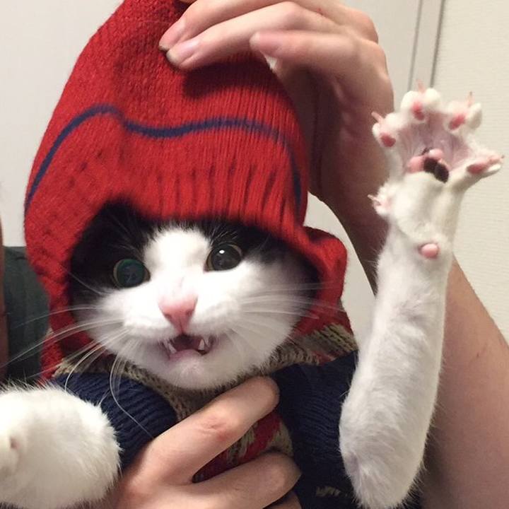 4f5bd798 023d 4d31 bc2a 4ed4c3388881