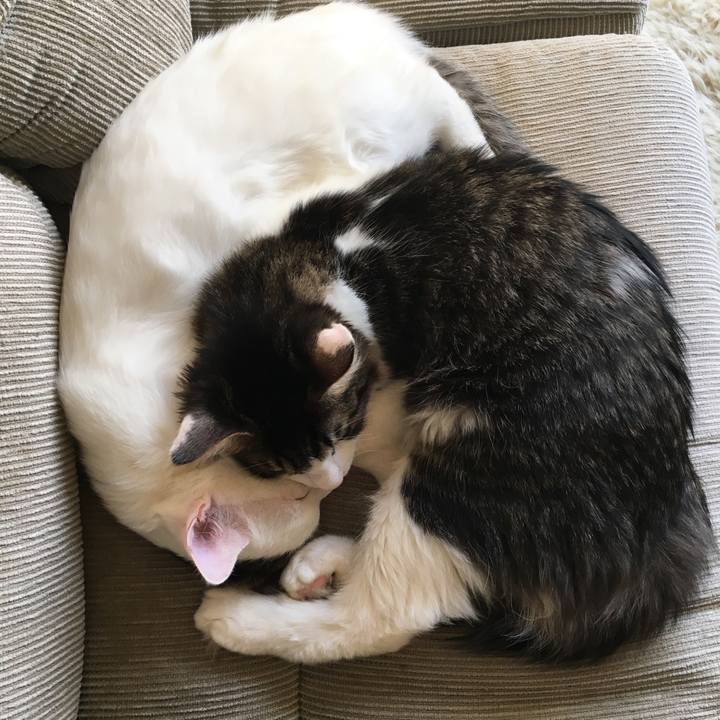 4f5c3538 7cc8 429f 88db 045cc148b3ca