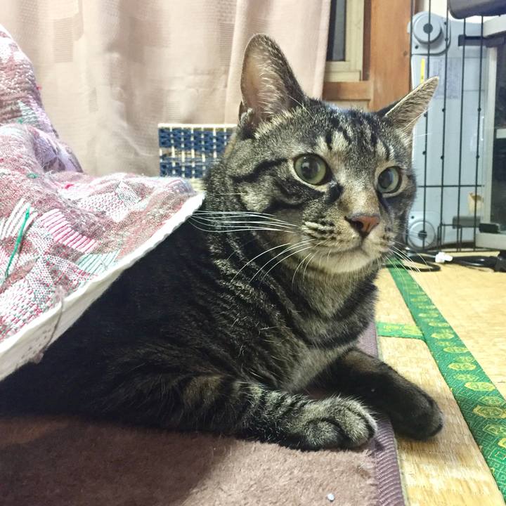 4f5c6acf ef46 48c6 a995 96221f85f015