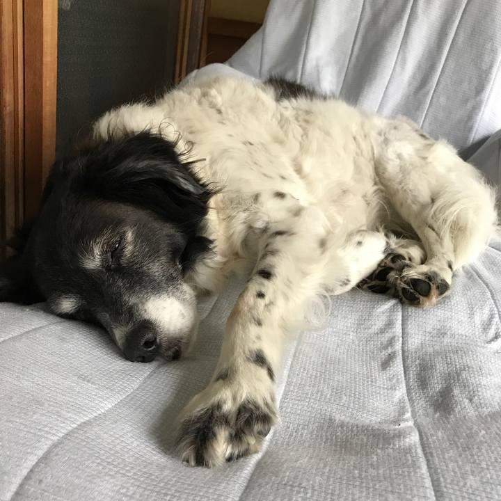 4f5df95f 3aa1 42fb 864d cdad366c51f4