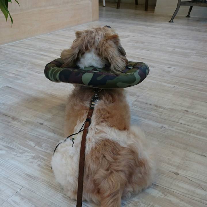 4f5dfa56 9784 466c 812b 84a468b63c63