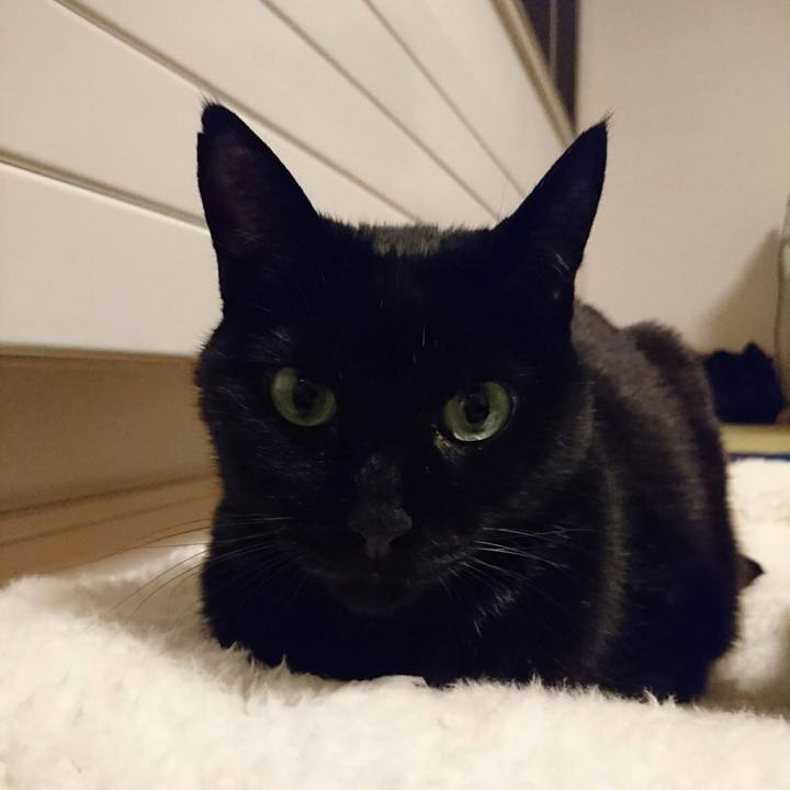 4f5dfaa6 27eb 4bd3 bf7e f7b0462fe23a