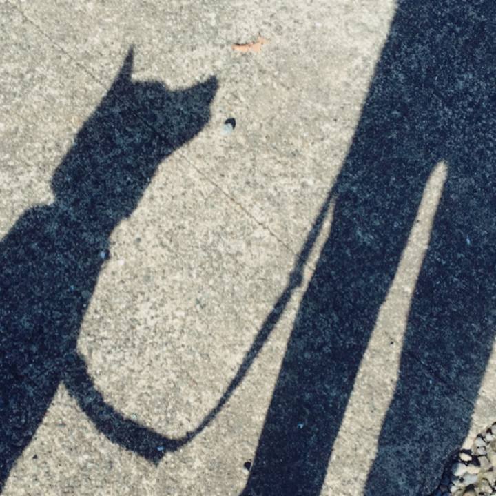 4f5eee0f b12d 4b79 83a3 e568fc937081