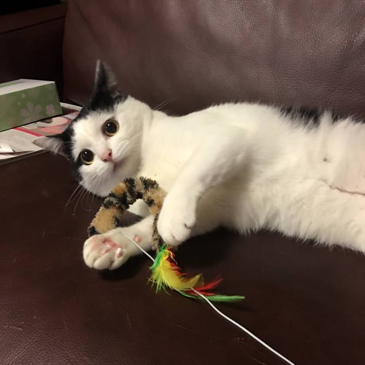 4f5f2ab7 1b09 42f4 abe6 c1ed40ae6c2e