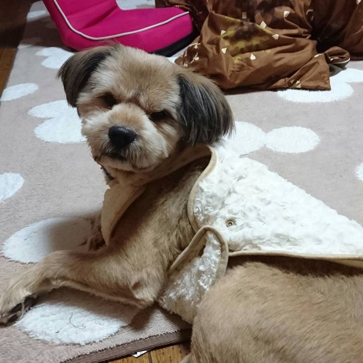 4f5f2d86 1467 4e6c 89e6 4f95d073044f