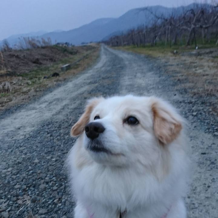 4f5f989c c829 41c5 89b2 8c3061de53de