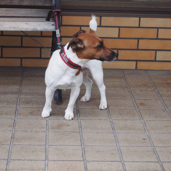 4f5faec4 52ca 42bb 8da1 2fcddb36b6c9