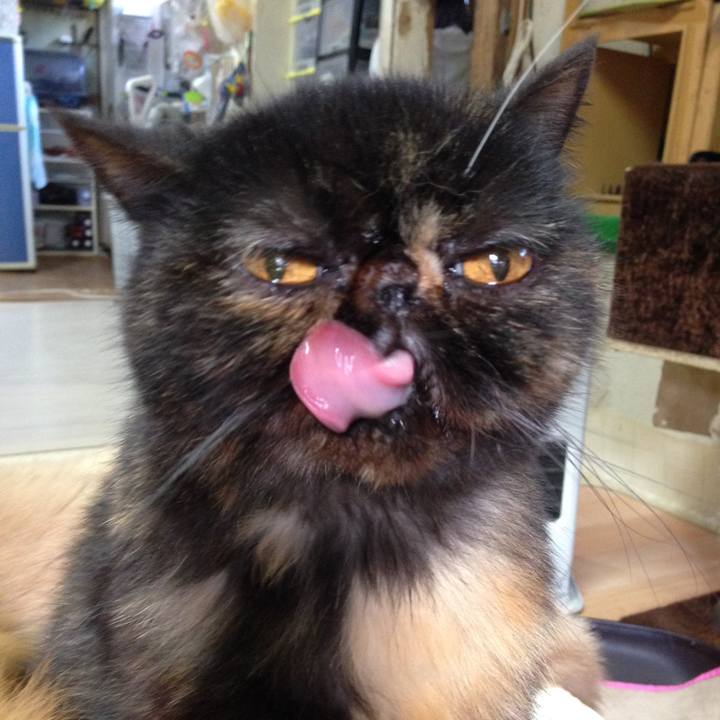 4f606deb e6c6 4e54 92f0 5e3b28336de7