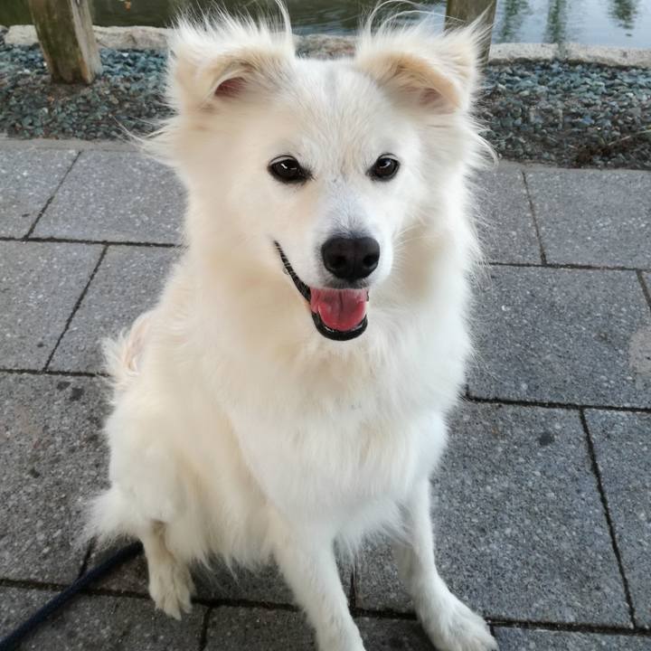 4f612c46 fe00 4122 8708 e8f4e93b84d9