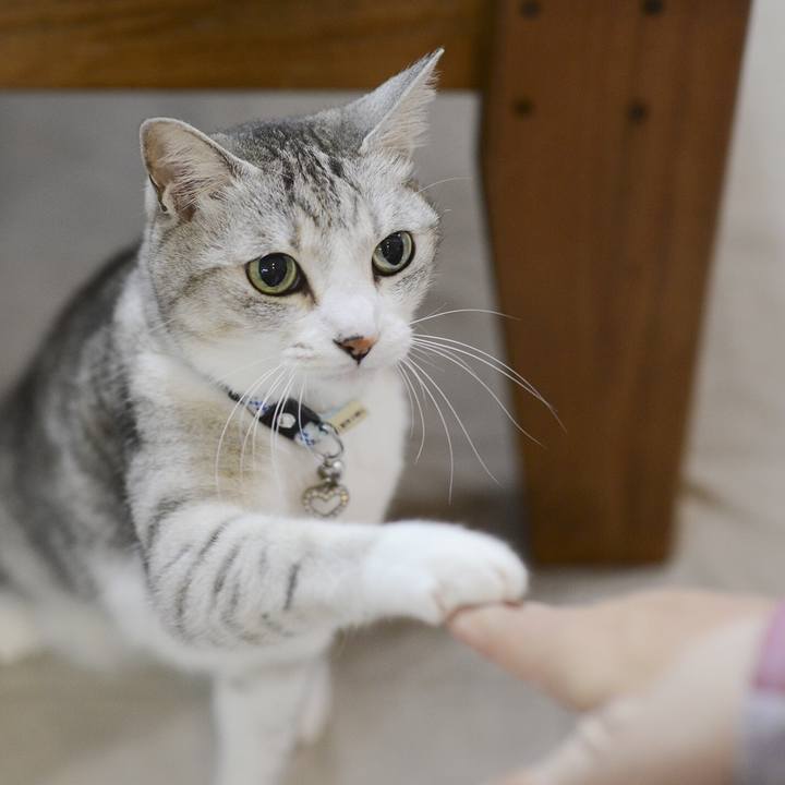 4f624918 2c18 4baf bc6d dc611cb8c3e0