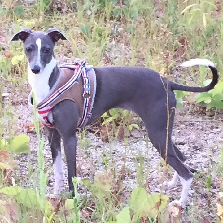 4f62eab1 6690 49b4 add2 9b698638579a