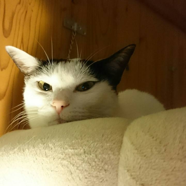 4f632dc1 218d 44e2 b7ae c59e572b2f43