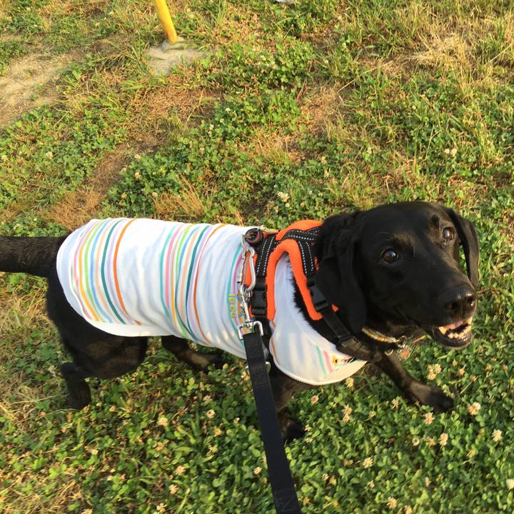 4f63f961 f6fc 48ff 8158 ca4c9f2728b2