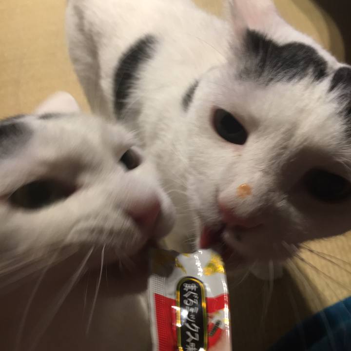 4f646b83 a4fc 4b18 a834 c21538a1899d