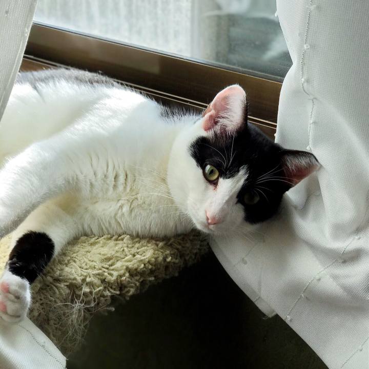 4f649a53 8504 4731 adba 69a445b6c525