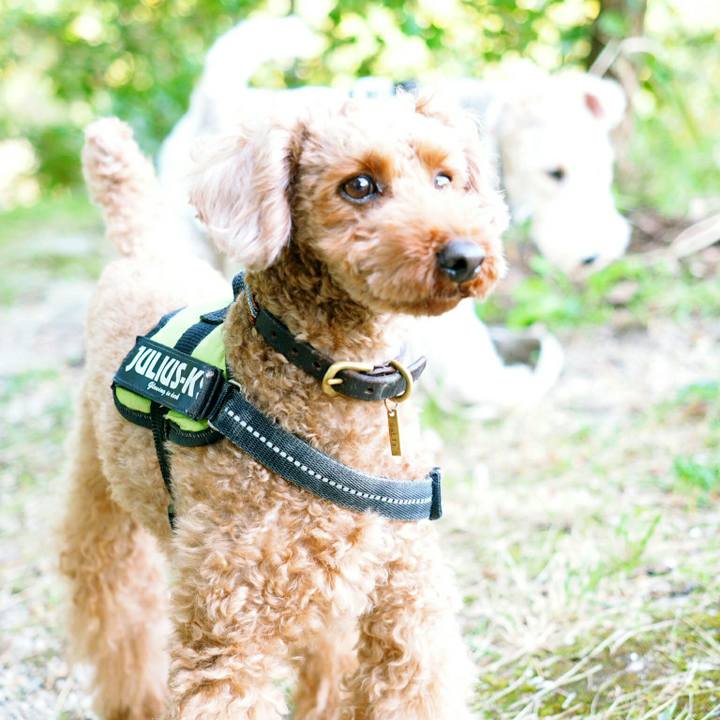 4f64c2b9 9ec8 44c7 9a1e e3cc2efb44cf