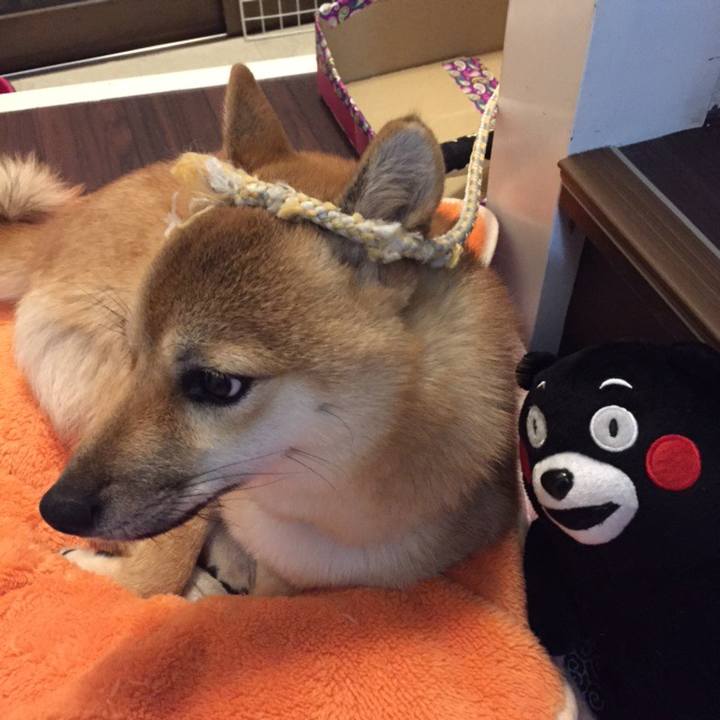 4f64db84 bb95 4bae 8c2b 65f3ce11c474