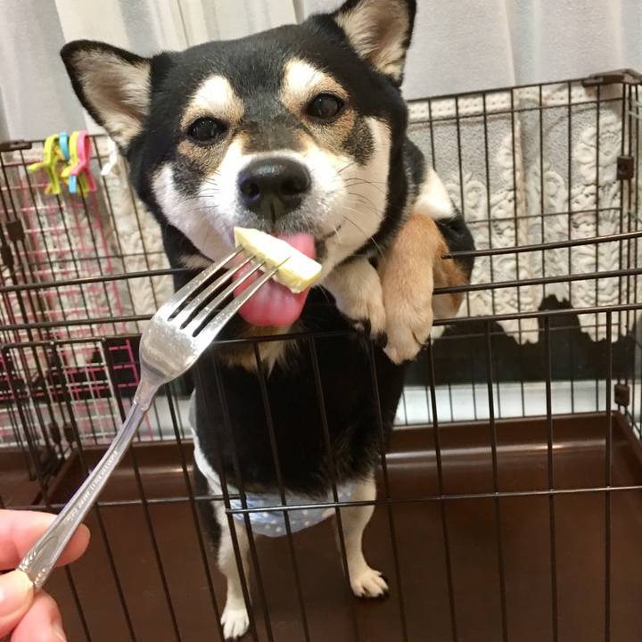 4f65093f a16d 4c18 be6b 865669a3aee9