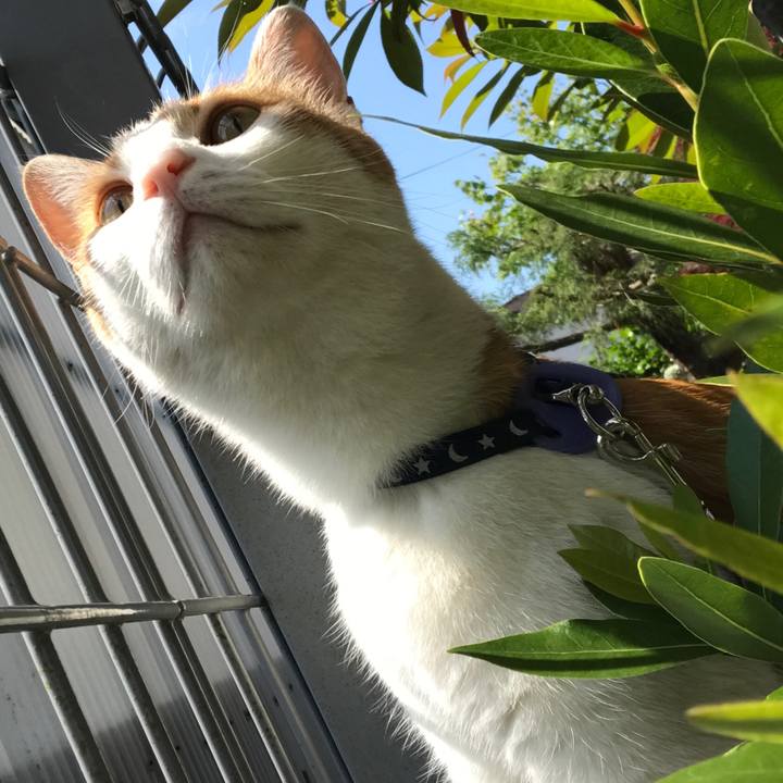 4f65363f faa7 4bab a7d2 408955ab49e2