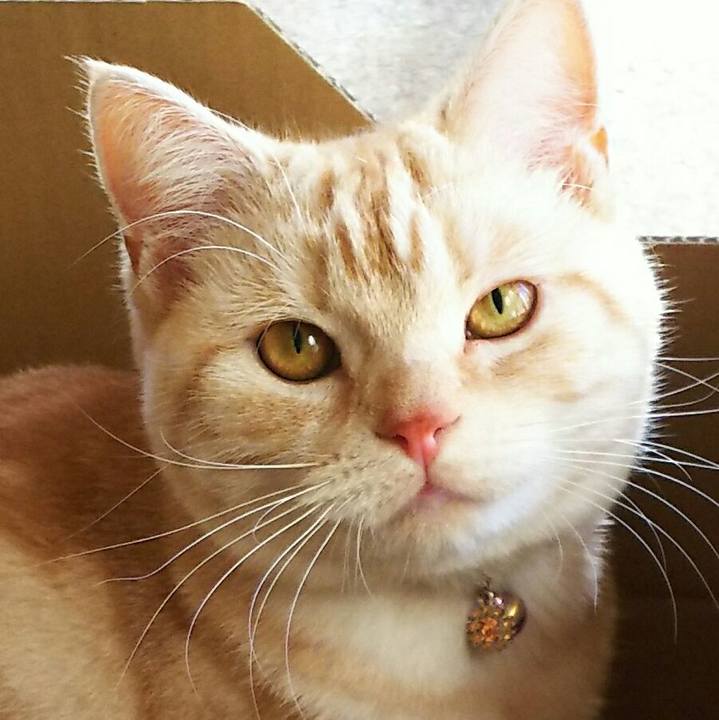 4f65a349 4e98 46ac 9cf8 b32864debd2d