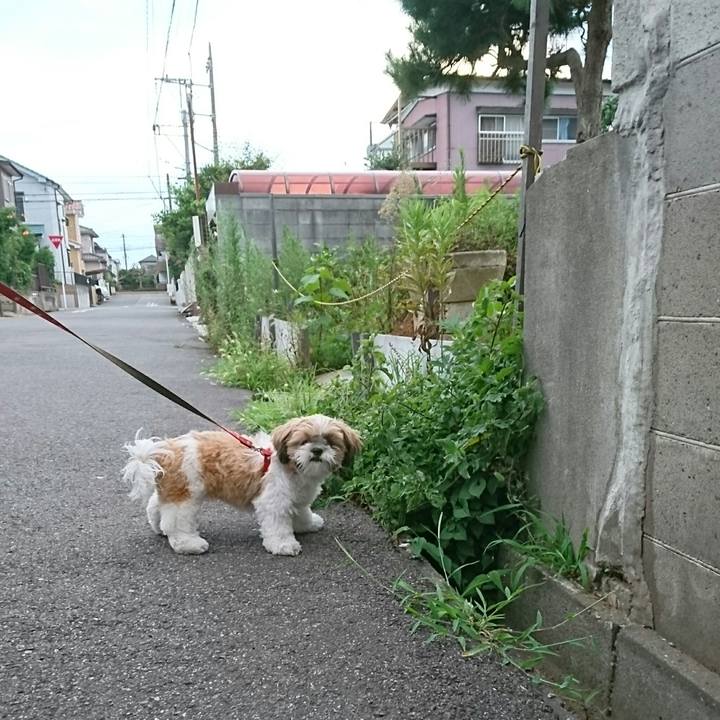 4f6645cf 06e9 448a 9437 467516503f18