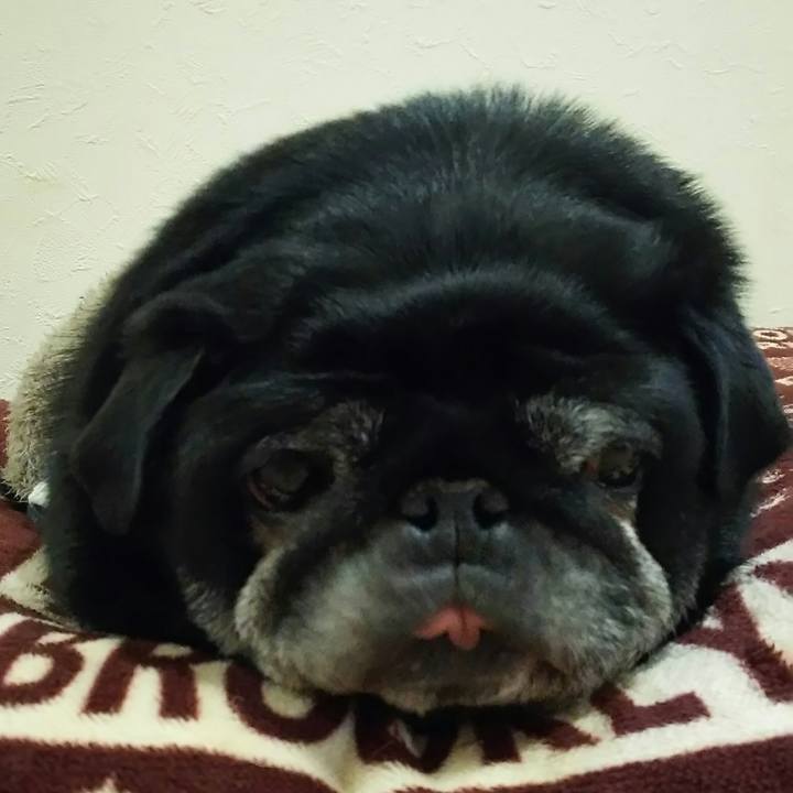 4f6646b3 35c3 41da a7ef 4d7cb2f9d029