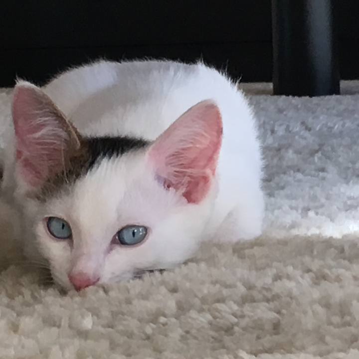 4f66e93b 1791 461c 9e22 3d2028bbb0ae