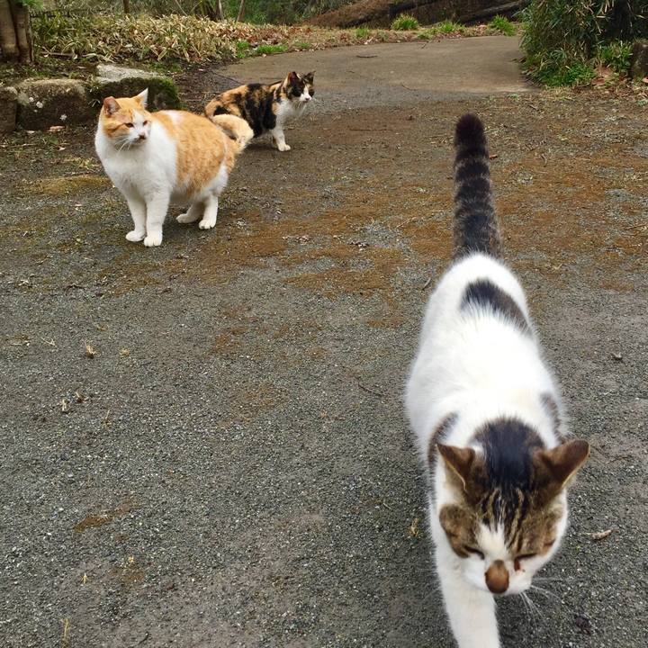 4f67201e 65bb 4c2d 913d b9f56f0654e3