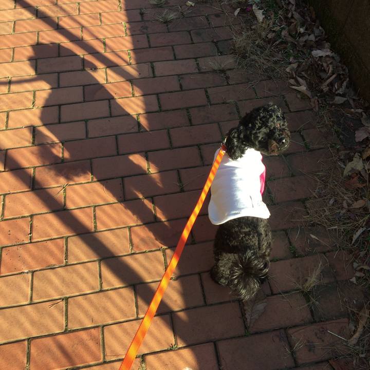 4f680244 9370 4a1b ab09 0ab22d7cceea