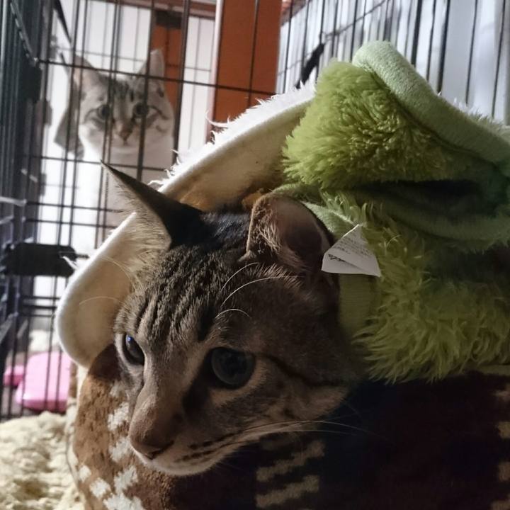 4f681ac8 28b5 4c83 9e34 1882f5f30fea