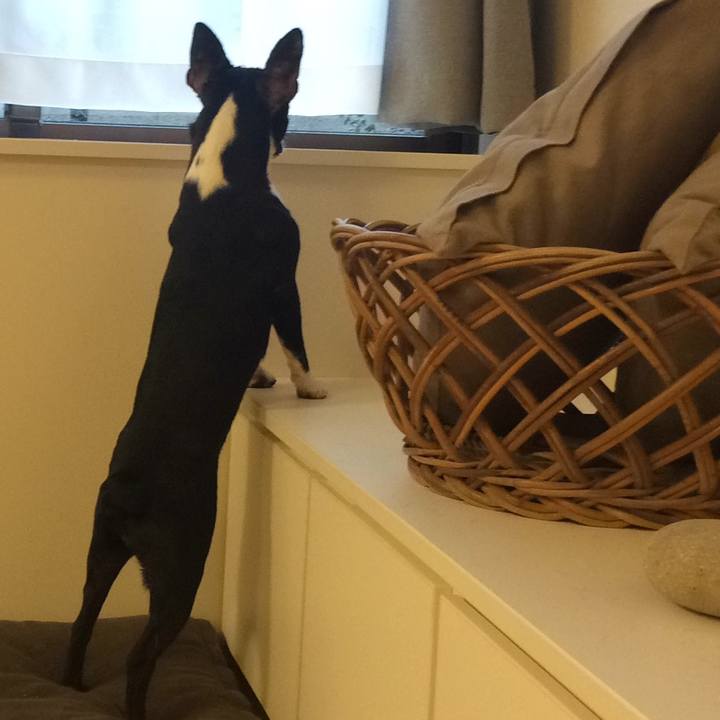 4f684a80 91d9 4493 ad69 042d2348d071