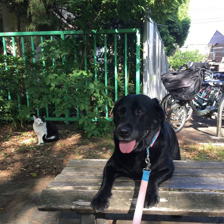 4f689272 8f7c 4c68 9b8b 6cb79a08bea2