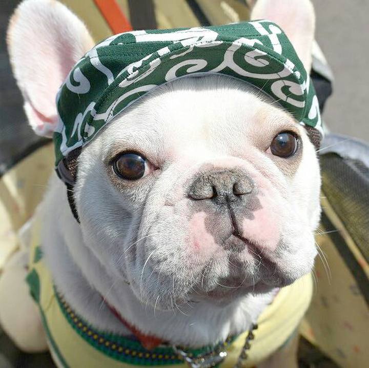 4f68df33 0b85 4033 be89 852cd37322e7