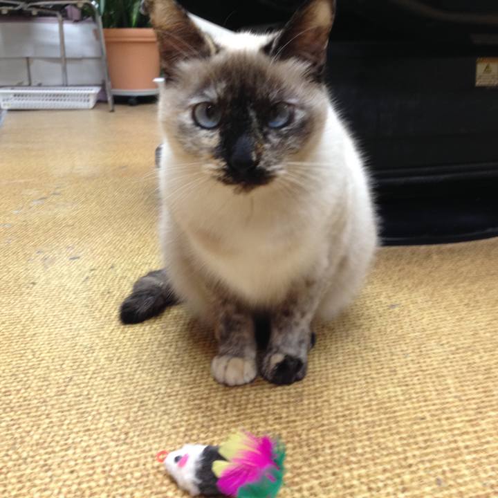 4f699a79 628e 4740 8dc2 df902f1bbad0