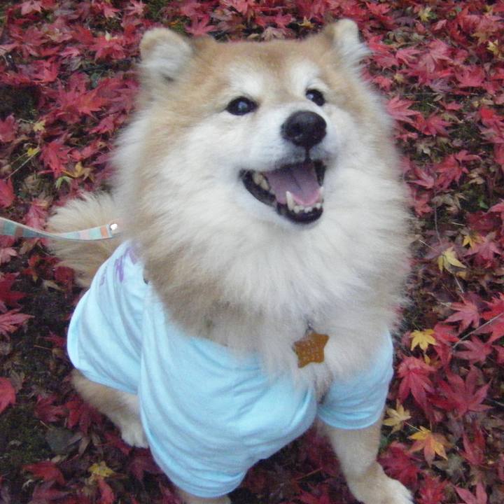 4f69e6af beb6 432a 92a7 e1319c1df54e