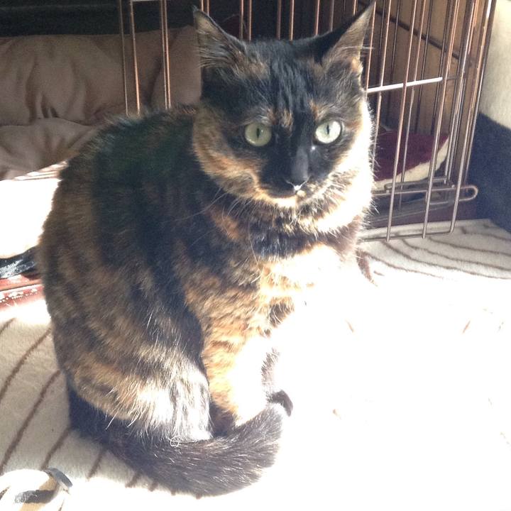 4f69fc5e 0939 4a31 aeeb c1e783fbdbde