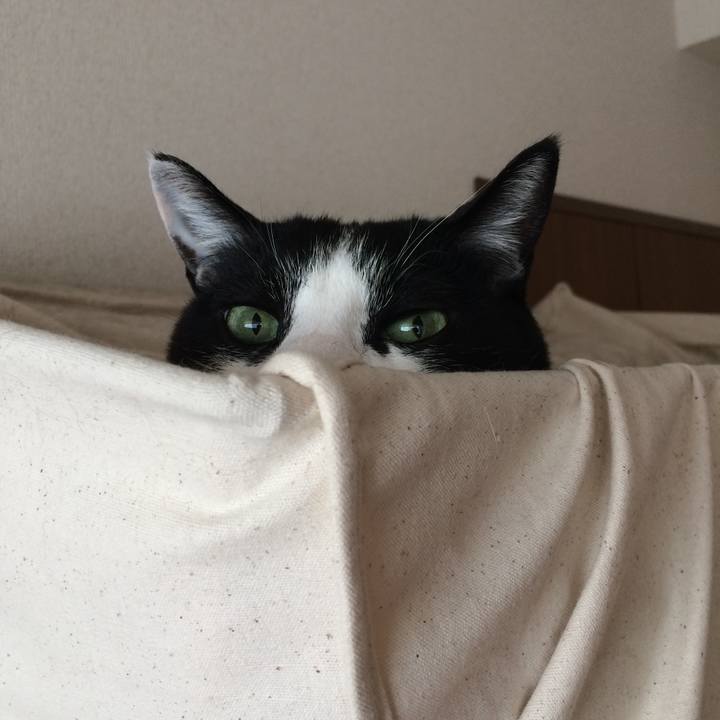 4f6a1b47 fd87 4a0a a79f c7382fe5d7e2