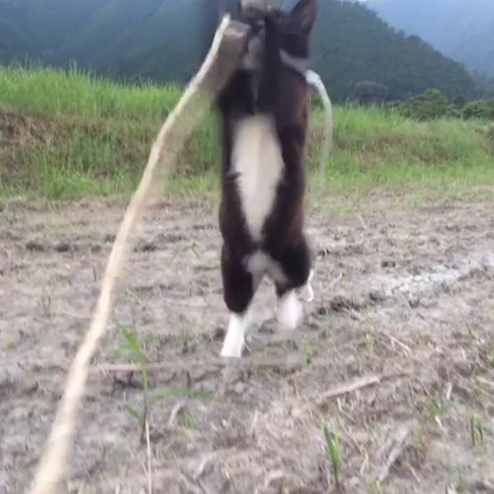 4f6af006 03a2 4573 81d6 fa1702375c4a