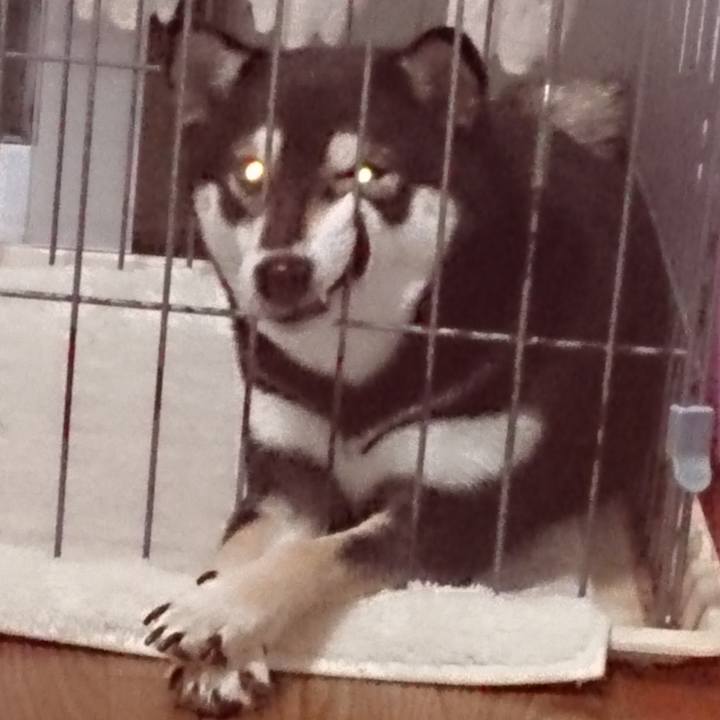 4f6af549 ddba 401d ae9b 995a95c0b5e8