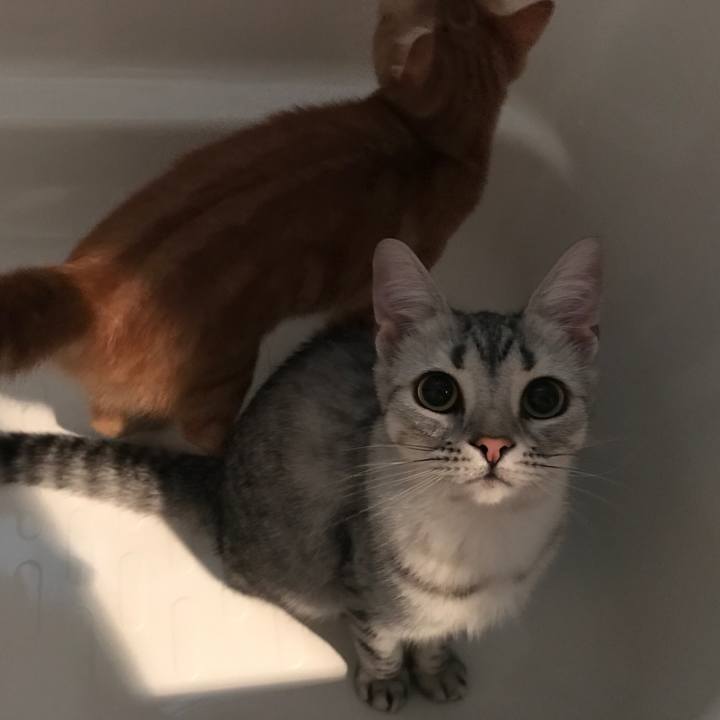 4f6aff7a 00ef 43c1 923f 99824660c216