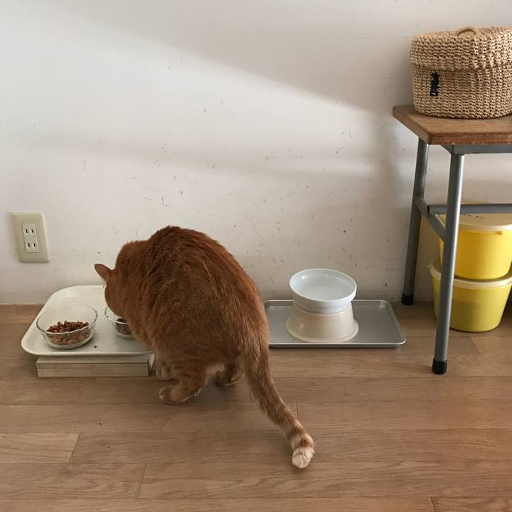 4f6b0ae1 9b97 49cb 99b1 2dbf07a66cb9