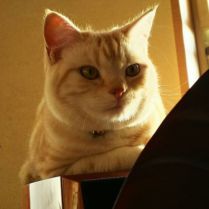 4f6b7fee 5cf7 4b72 b584 5a7920ddd9fa