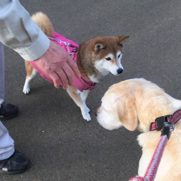 4f6baf4b 8891 4c51 9dd1 82750cab905f