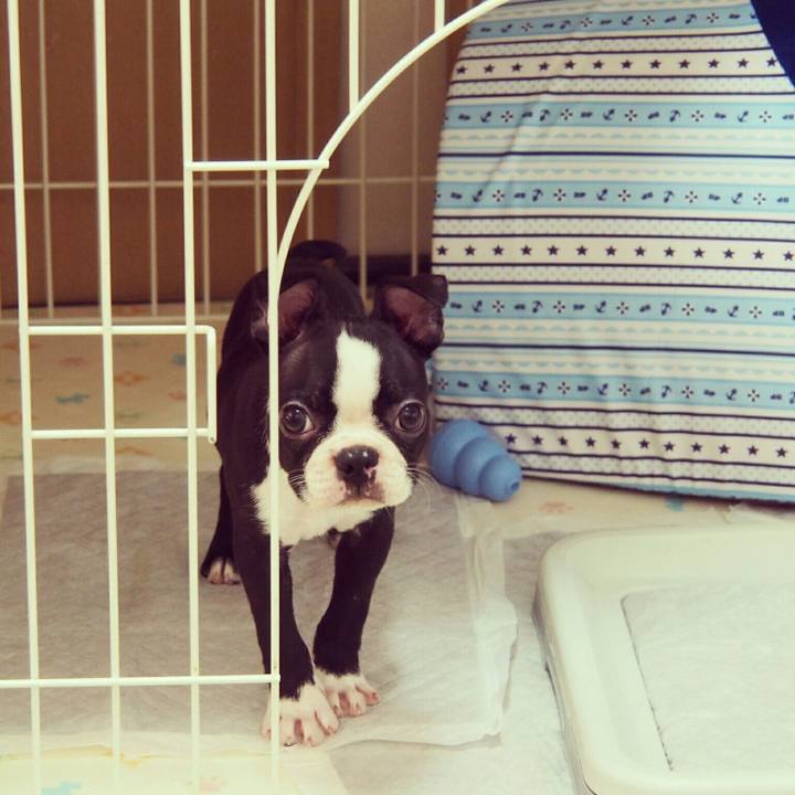 4f6c1851 ad14 432d 9413 b0b996154507