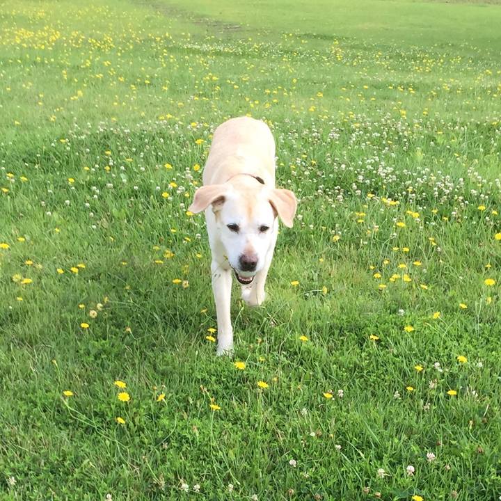 4f6cc7cf 9e4a 4ee0 8fb0 2e2134b4d52d